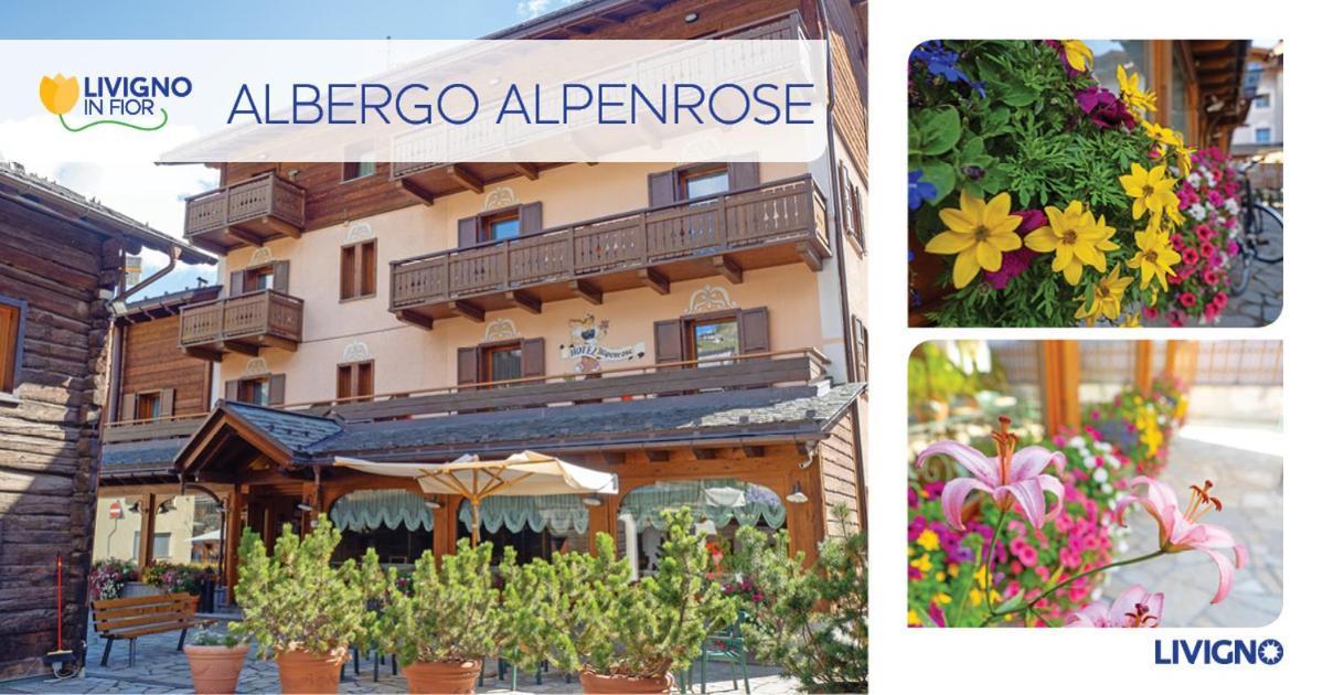 Albergo Alpenrose Livigno Buitenkant foto